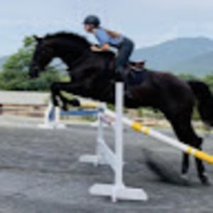 Meet your Posher, Kelsey